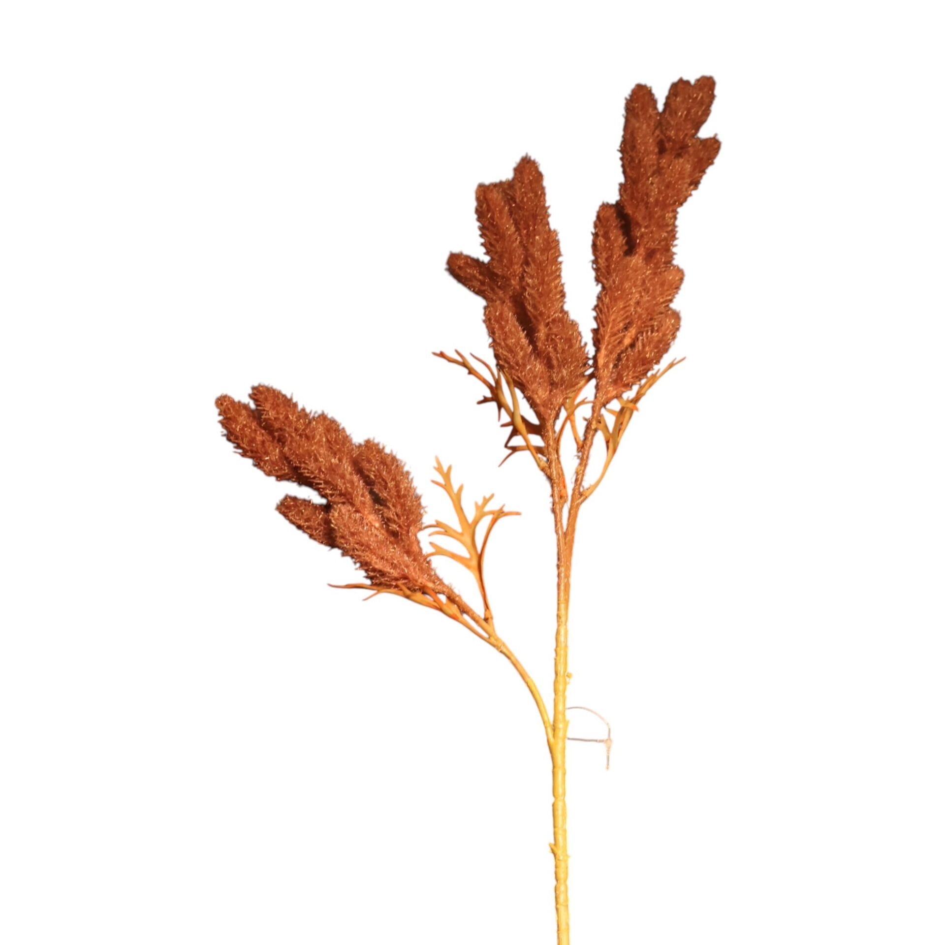 Yapay Kahverengi Lagurus