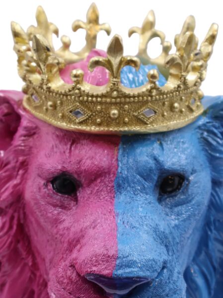 Lion King Aslan Pembe-Mavi Büst