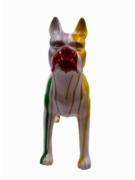 Pitbull Colurful Siyah Büst Beyaz