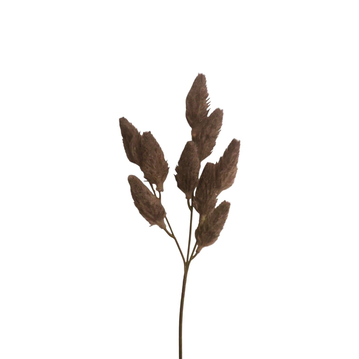 Yapay Tüylü Lagurus Gri