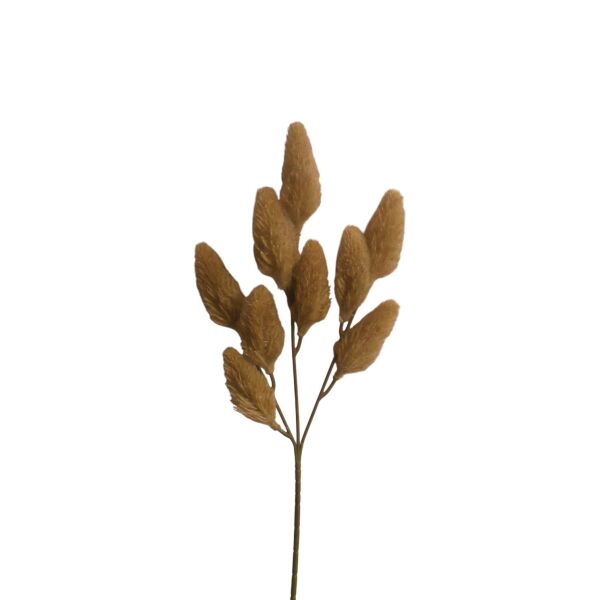 Yapay Krem Lagurus
