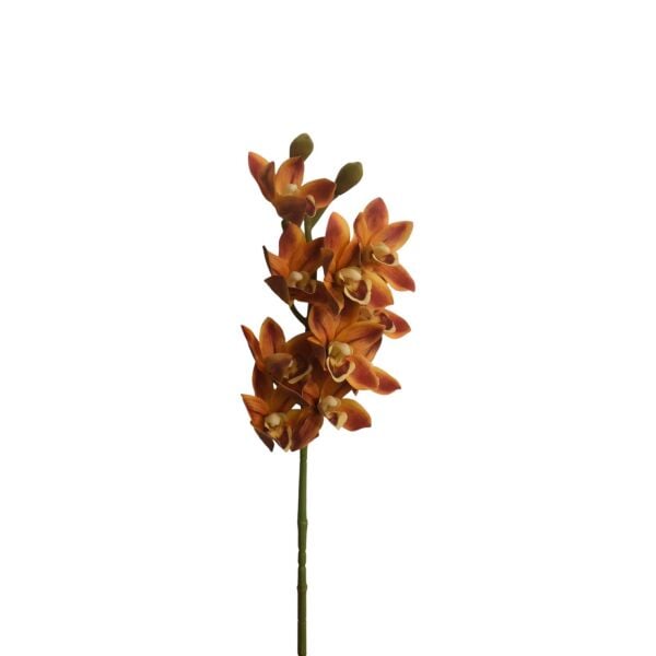 Yapay Sipidyum Orkide Turuncu