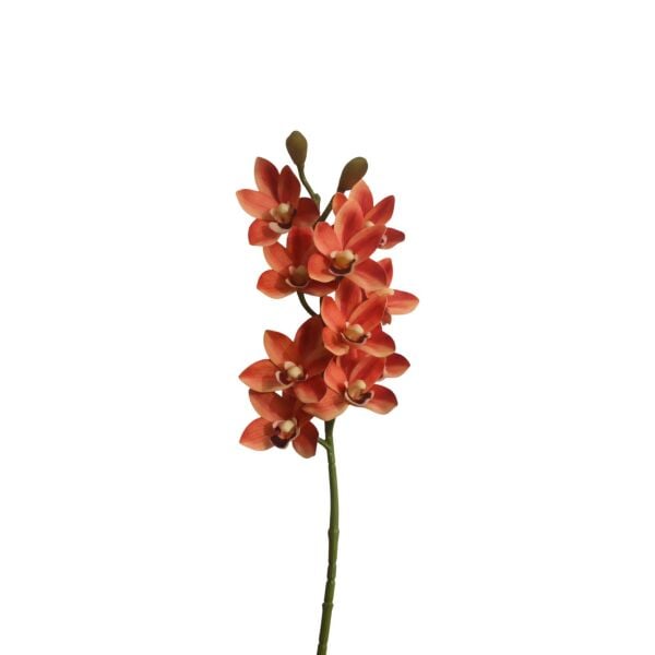 Yapay Sipidyum Orkide Bordo