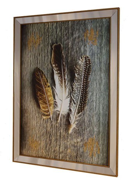 Ayna Gold Çerçeveli Soyut Üç Tüy Tablo 80x110 CM