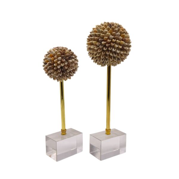 İkili Deniz Kabuğu Dekor