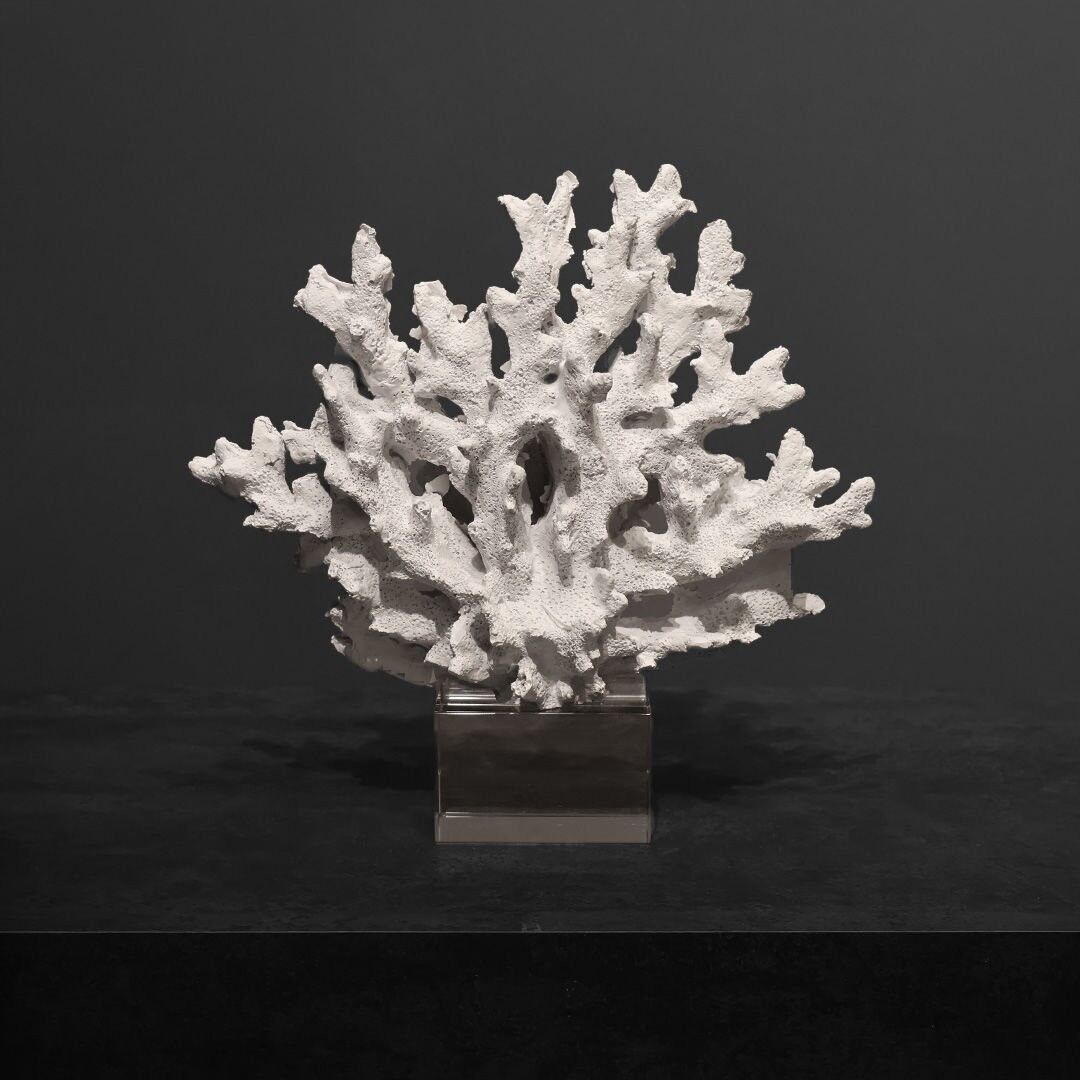 Kristal Mercan Siyah Beyaz