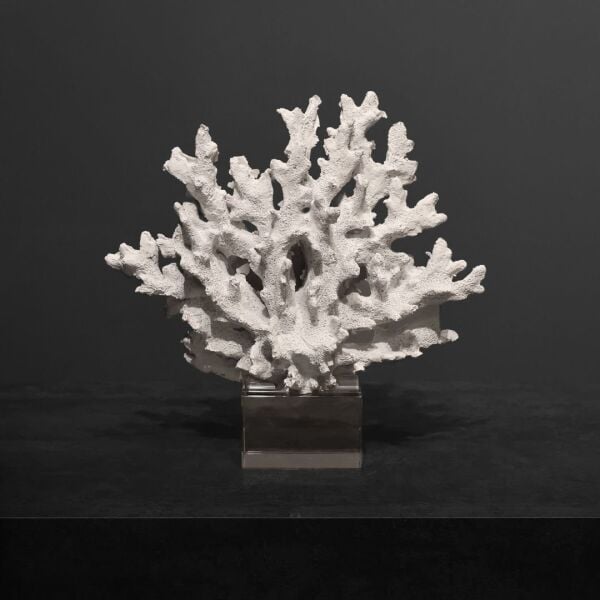 Kristal Mercan Siyah Beyaz