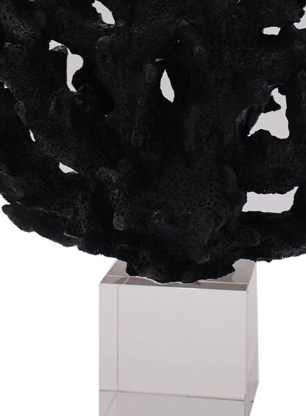 Kristal Mercan Siyah Siyah