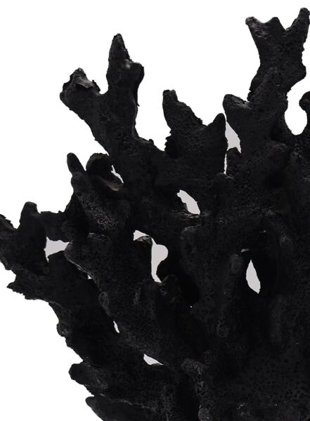 Kristal Mercan Siyah Siyah