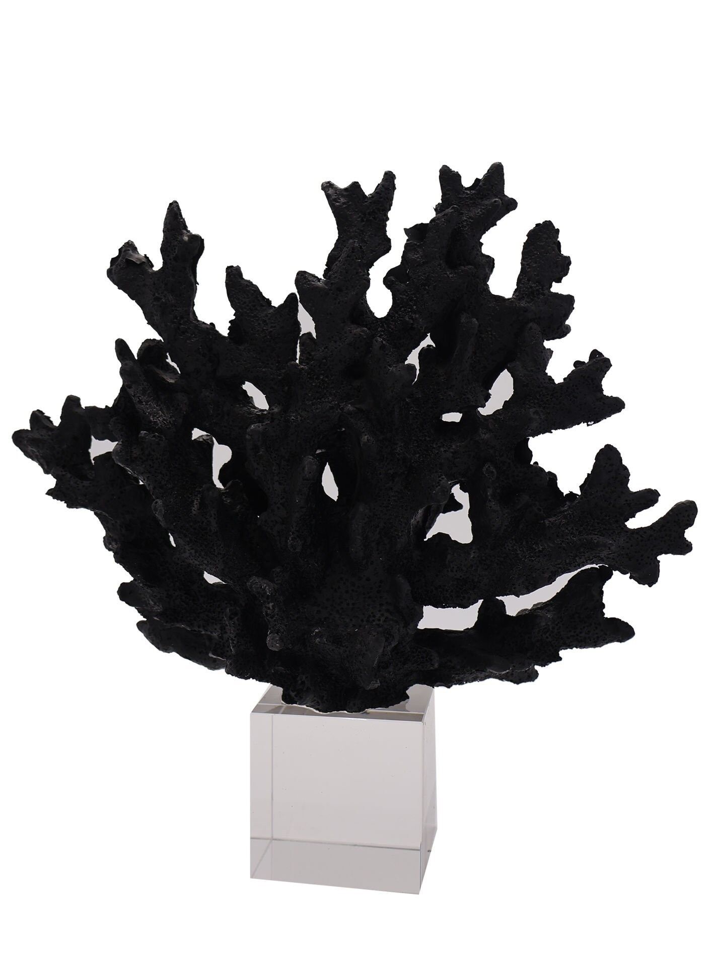 Kristal Mercan Siyah Siyah