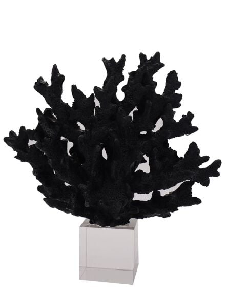 Kristal Mercan Siyah Siyah