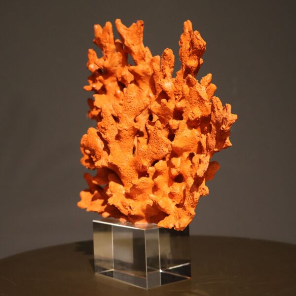 Kristal Mercan Siyah Turuncu