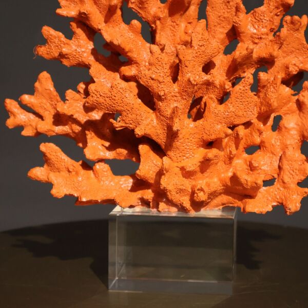 Kristal Mercan Siyah Turuncu