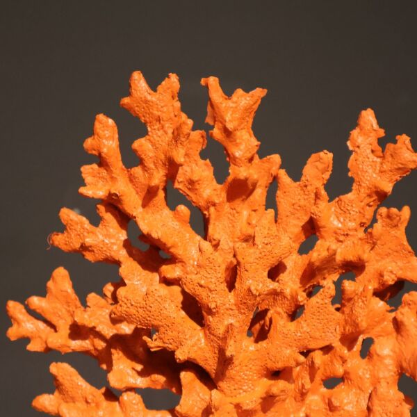 Kristal Mercan Siyah Turuncu