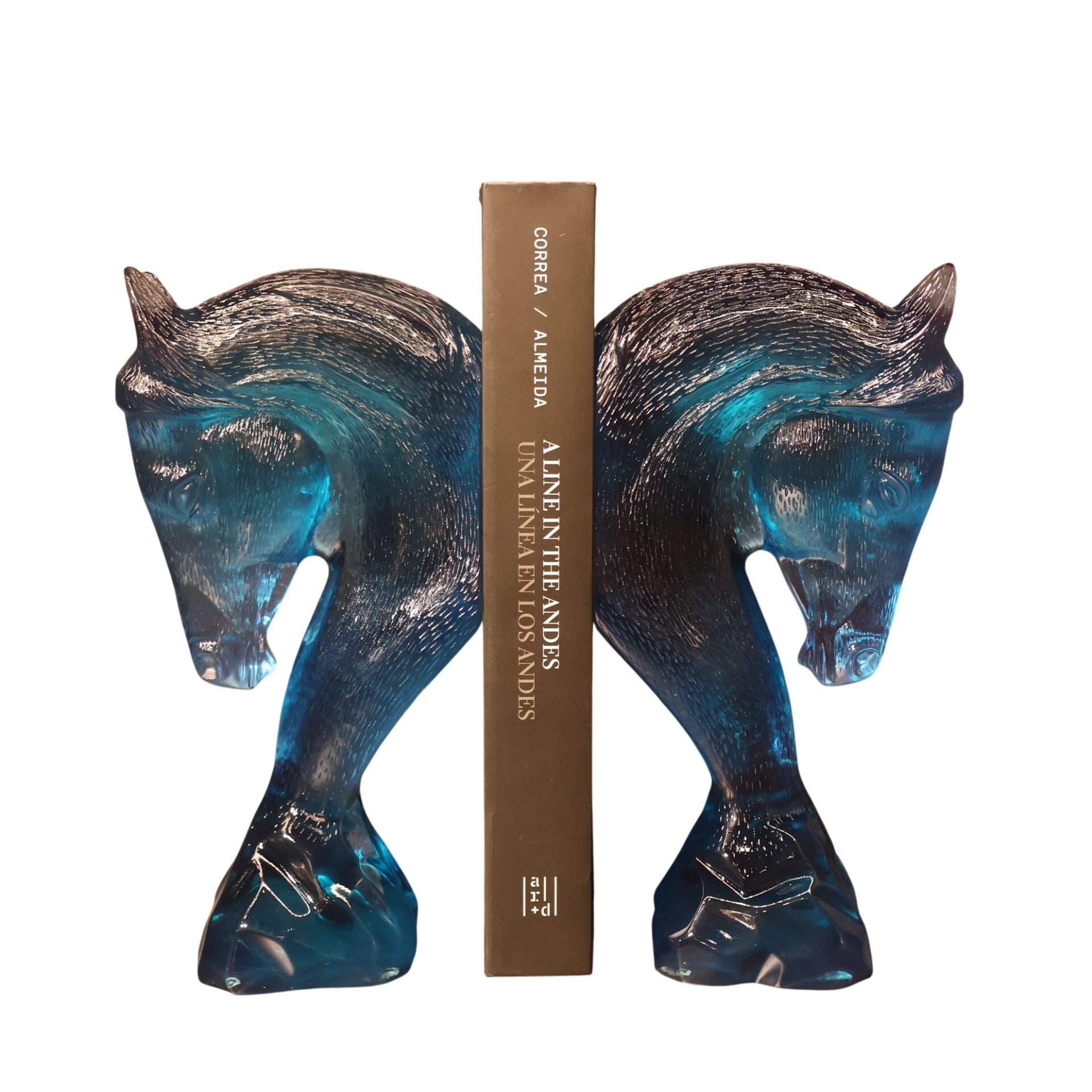 Kaideli At Kitap Tutucu Mavi Mavi