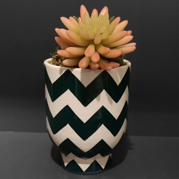 Zikzak Yeşil Sukulent