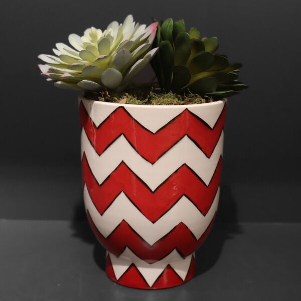 Zikzak Kırmızı Sukulent