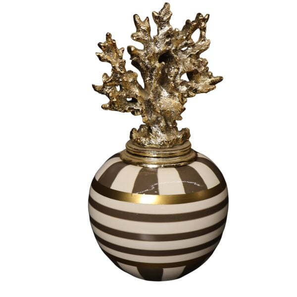 Dik Mercan Kapak Kaktüs Saksı