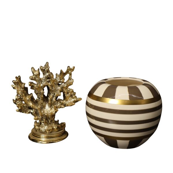 Dik Mercan Kapak Kaktüs Saksı