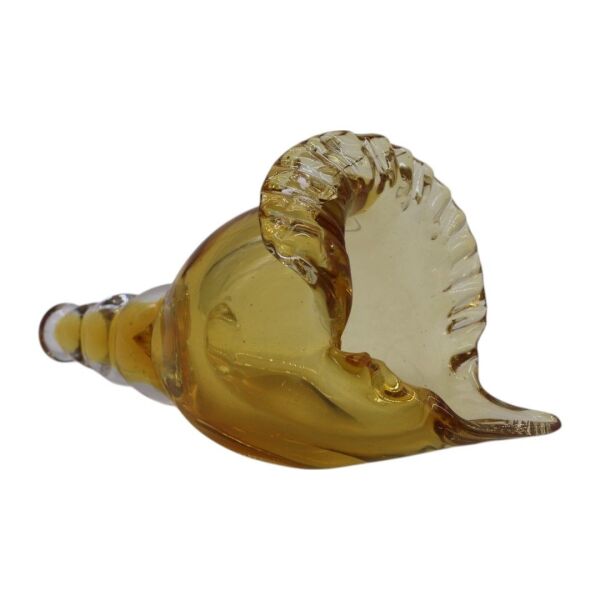 Cam Deniz Kabuğu Aksesuar Siyah Renkli