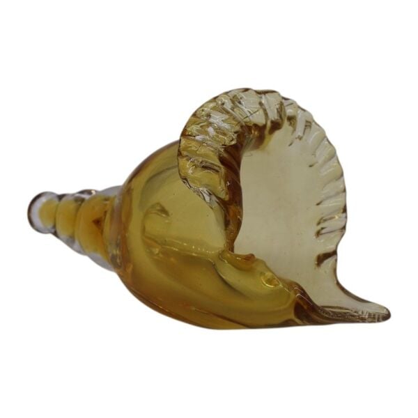 Cam Deniz Kabuğu Aksesuar Siyah Gold