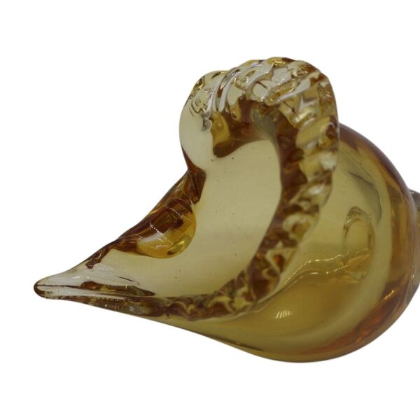 Cam Deniz Kabuğu Aksesuar Siyah Gold