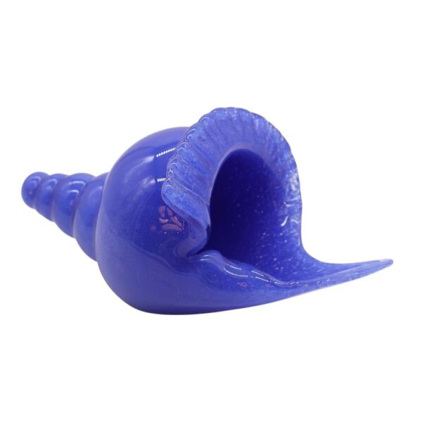 Cam Deniz Kabuğu Aksesuar Siyah Mavi