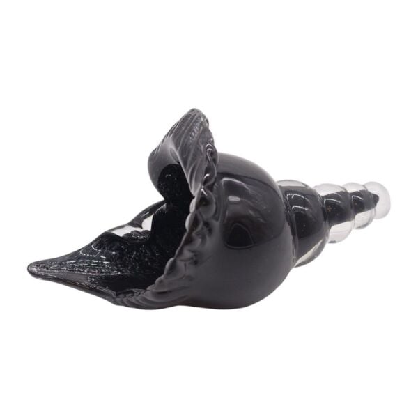 Cam Deniz Kabuğu Aksesuar Siyah Siyah