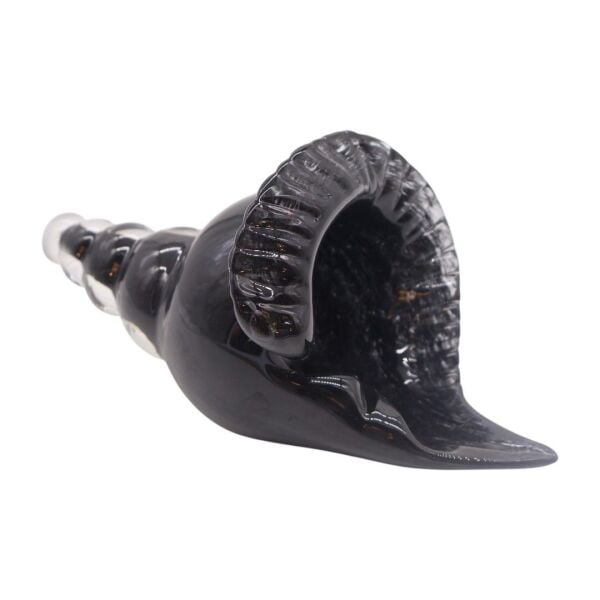 Cam Deniz Kabuğu Aksesuar Siyah Siyah