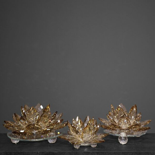Üçlü Cam Lotus Set Bej