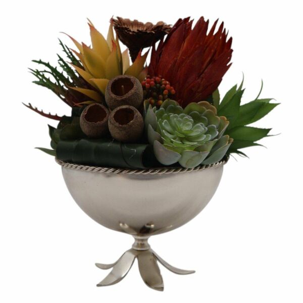 Çiçek Ayaklı Sukulent Gümüş Gümüş