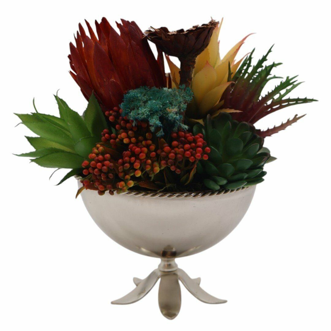 Çiçek Ayaklı Sukulent Gümüş Gümüş