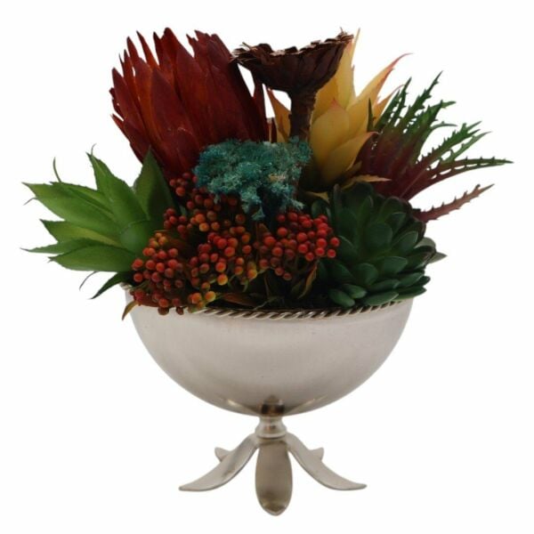 Çiçek Ayaklı Sukulent Gümüş Gümüş