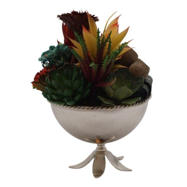 Çiçek Ayaklı Sukulent Gümüş Gümüş