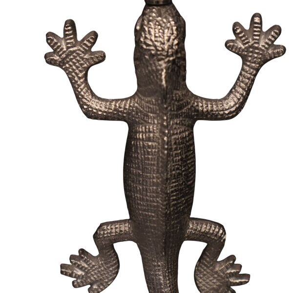 İguana Gümüş Büyüteç