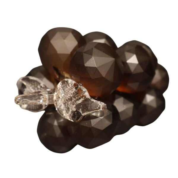 İkili Cam Üzüm Vizon